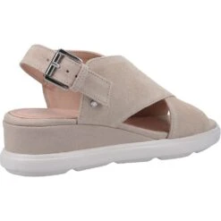 Geox Womens D Pisa A Buckle Suede Leather Summer Sandals -BreezeSole Shoes Store geo005 taupe 03