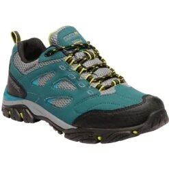 Regatta Womens/Ladies Holcombe IEP Low Waterproof Fabric Walking Shoes -BreezeSole Shoes Store rwf572 42q 01